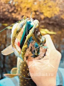 Джеркинг для початківців шпаргалка для «чайників» (джеркинг) Джеркинг для початківців шпаргалка для «чайників»