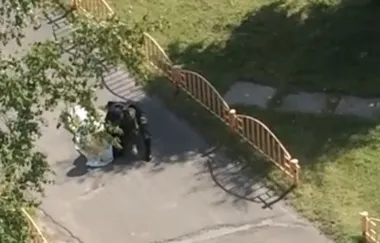Друг чи ворог як в регіонах вирішують проблему бродячих собак - в країні (бродячих) Друг чи ворог як в регіонах вирішують проблему бродячих собак - в країні