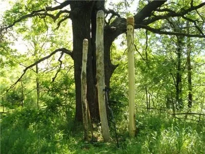 душа лісів