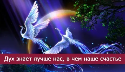 Дух знає краще нас, в чому наше щастя - езотерика і самопізнання