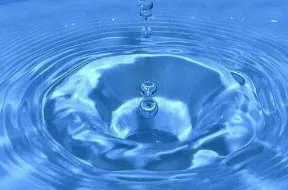 Як же убезпечити дерева від застою води