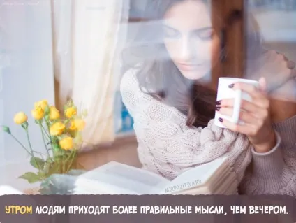 картинки кави