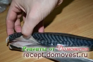 Економний спосіб оброблення скумбрії на філе - рецепти від домовеста (бачимо) Економний спосіб оброблення скумбрії на філе - рецепти від домовеста