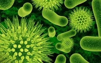 Ергоферон інструкція і показання до застосування, аналоги, дозування і ін (ергоферон) Ергоферон інструкція і показання до застосування, аналоги, дозування і ін