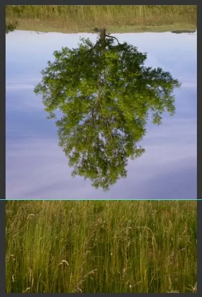 Ефект відображення у воді в photoshop