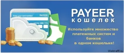Електронні гроші - види і як їх заробити (заробити електронні гроші) Електронні гроші - види і як їх заробити
