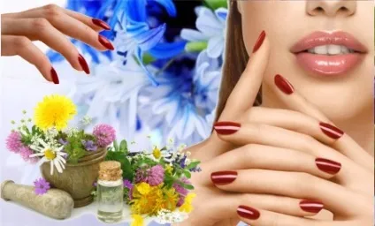 Ефірні масла для нігтів які ванночки допомагають від сухості кутикули і сприяють зростанню і (ванночки) Ефірні масла для нігтів які ванночки допомагають від сухості кутикули і сприяють зростанню і