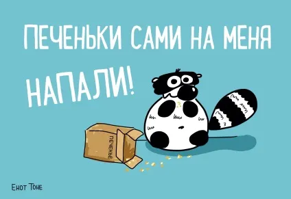 Єнот тоні - чим годувати єнота