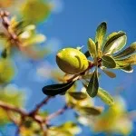 Фульвових кислота для людини в медицині відгуки, де купити (фульвових) Фульвових кислота для людини в медицині відгуки, де купити