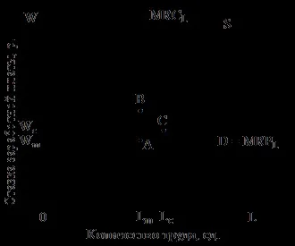 Формування заробітної плати на конкретних ринках праці (ринках) Формування заробітної плати на конкретних ринках праці