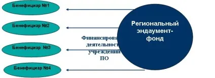 Фонди цільового капіталу (ендаумент-фонди) (фонди) Фонди цільового капіталу (ендаумент-фонди)