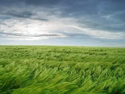 Факти про вітер