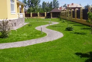 Газон ліліпут опис, особливості, характеристики газонної трави для ледачих (газон ліліпут) Газон ліліпут опис, особливості, характеристики газонної трави для ледачих