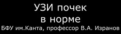 Гідронефроз на УЗД