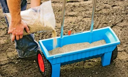 Газон ліліпут опис, особливості, характеристики газонної трави для ледачих (низькорослий газон) Газон ліліпут опис, особливості, характеристики газонної трави для ледачих