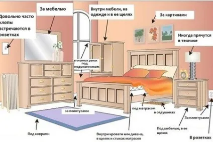 Де живуть клопи і як їх виявити
