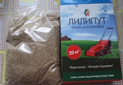 Газон ліліпут опис, особливості, характеристики газонної трави для ледачих (трави) Газон ліліпут опис, особливості, характеристики газонної трави для ледачих