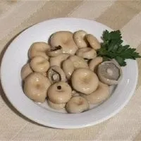 Грузді - користь і шкода (збитки) Грузді - користь і шкода