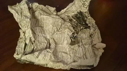 Гриби з паперу своїми руками