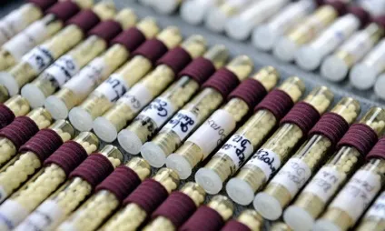 Гомеопатія при панкреатиті принципи терапії та побічні ефекти (терапії) Гомеопатія при панкреатиті принципи терапії і побічні ефекти