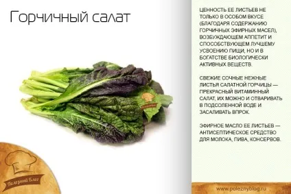 Гірчичний салат, корисний блог (корисні рецепти з фото) Гірчичний салат, корисний блог