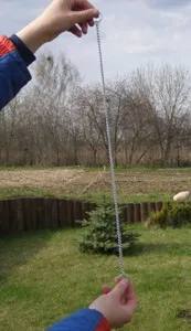 Йдемо на виставку з сибірським хаскі (давати себе обмацувати) Йдемо на виставку з сибірським хаскі