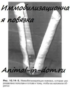 Іммобілізірующую пов'язка, лікування домашніх тварин (іммобілізірующую) Іммобілізірующую пов'язка, лікування домашніх тварин