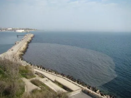 Інфекція в чорному морі (інфекція Чорному морі) Інфекція в чорному морі