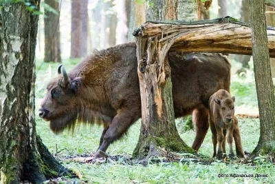 Цікаві місця Підмосков'я