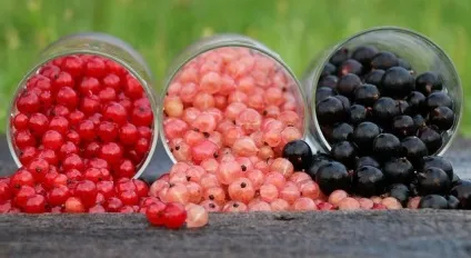 Використання one і ones в англійській мові для заміни іменника, курси англійської (використання) Використання one і ones в англійській мові для заміни іменника, курси англійської