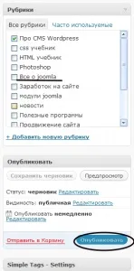 Як додати запис на wordpress а також створення категорій і статичних сторінок на блозі