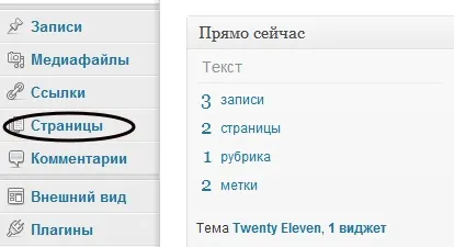 Як додати запис на wordpress а також створення категорій і статичних сторінок на блозі