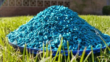 Як боротися з пацюками на городі ефективні методи (спосіб ведення боротьби) Як боротися з пацюками на городі ефективні методи