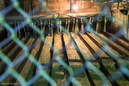 Як видобувають золото на Колимі, розважальний портал (золото) Як видобувають золото на Колимі, розважальний портал