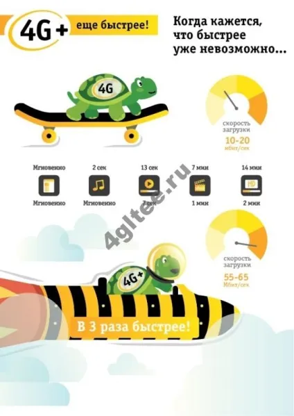 Яка швидкість 4g-інтернету билайн максимальна і реальна швидкість (билайн) Яка швидкість 4g-інтернету билайн максимальна і реальна швидкість