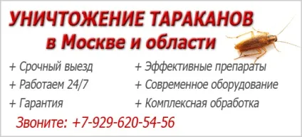 Як і чим морити тарганів