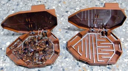 Як і чим морити тарганів