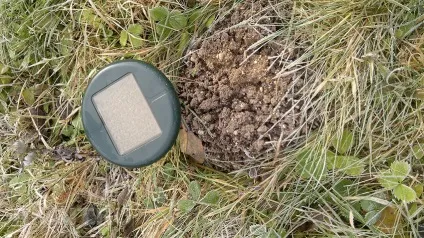 Як позбутися мишей