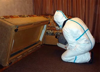 Як і чим морити тарганів