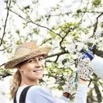 Як краще одягатися на дачі