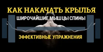 Як накачати найширші м'язи спини, як зробити широку спину і розвинути крила (широку) Як накачати найширші м'язи спини, як зробити широку спину і розвинути крила