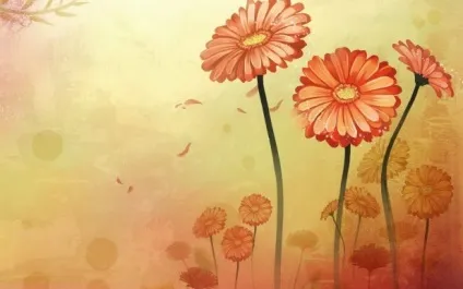Як намалювати гербери, букет гербер олівцем поетапно