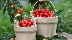 Як очистити кишечник народними засобами - зашлакованості як лікувати народними засобами - (домашні методи очищення кишечника) Як очистити кишечник народними засобами - зашлакованості як лікувати народними засобами -