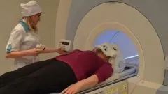 Як відбілити коронку - чим відбілити кераміку - здоров'я і медицина - популярне (зубної) Як відбілити коронку - чим відбілити кераміку - здоров'я і медицина - популярне