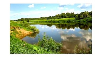 Як знайти рибу у водоймі влітку (водоймі) Як знайти рибу у водоймі влітку