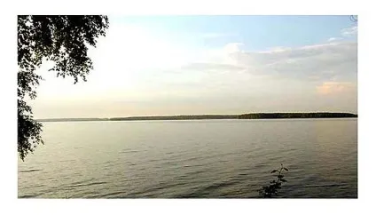 Як знайти рибу у водоймі влітку (знайти рибу водоймі) Як знайти рибу у водоймі влітку