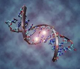 До чого сняться весільні туфлі 1 (до чого сняться весільні туфлі) До чого сняться весільні туфлі 1