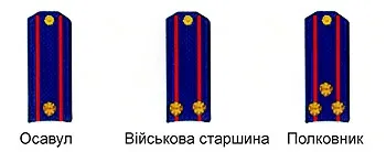Козачі чини, азовське козацьке військо (військо) Козачі чини, азовське козацьке військо