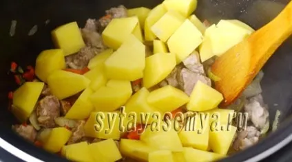 Картопля з капустою і м'ясом в мультиварці рецепт з фото (мультиварці) Картопля з капустою і м'ясом в мультиварці рецепт з фото