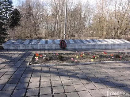 Кожен воїн вніс свій внесок в перемогу (воїн) Кожен воїн вніс свій внесок в перемогу
